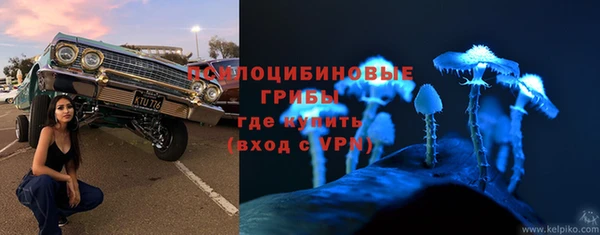 прущие грибы Алексеевка