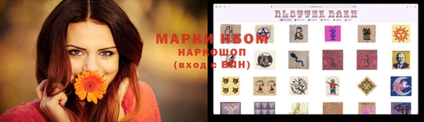 прущие грибы Алексеевка