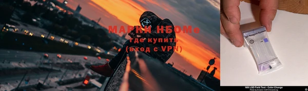 дживик Алзамай