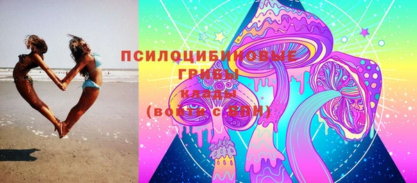 дживик Алзамай