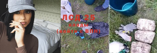 прущие грибы Алексеевка