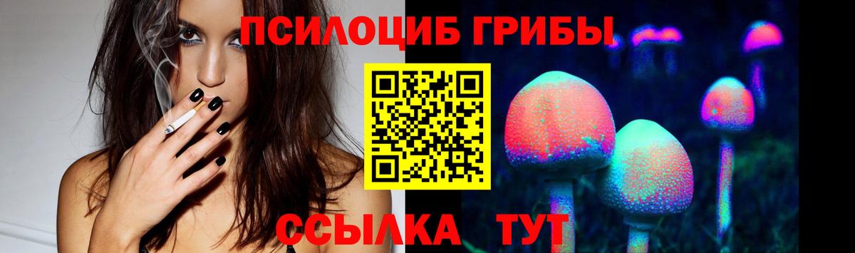 Березники  Галлюциногенные грибы Psilocybe  Вход с VPN  Псилоцибиновые грибы Cubensis 